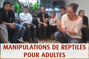 Manipulation de reptiles - Dimanche 23 janvier 2022